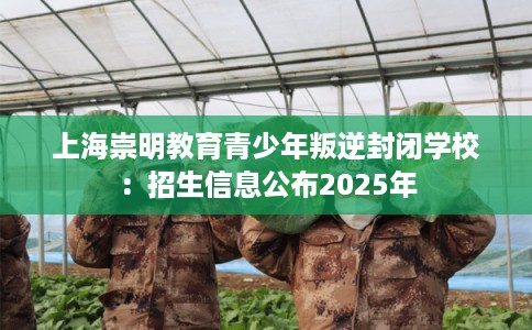 上海崇明教育青少年叛逆封闭学校：招生信息公布2025年
