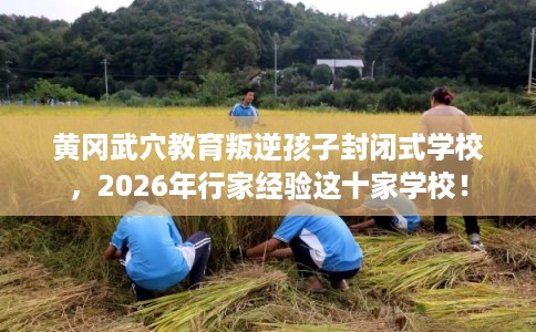 黄冈武穴教育叛逆孩子封闭式学校，2026年行家经验这十家学校！