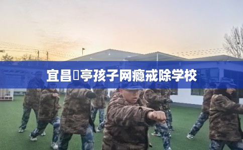宜昌猇亭孩子网瘾戒除学校