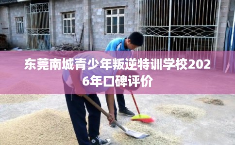 东莞南城青少年叛逆特训学校2026年口碑评价