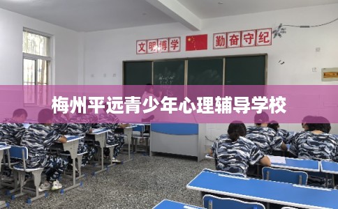梅州平远青少年心理辅导学校 梅州平远青少年心理辅导学校