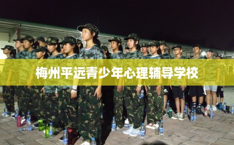 梅州平远青少年心理辅导学校