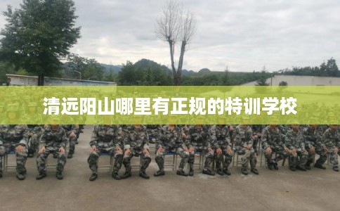 清远阳山哪里有正规的特训学校 清远阳山哪里有正规的特训学校