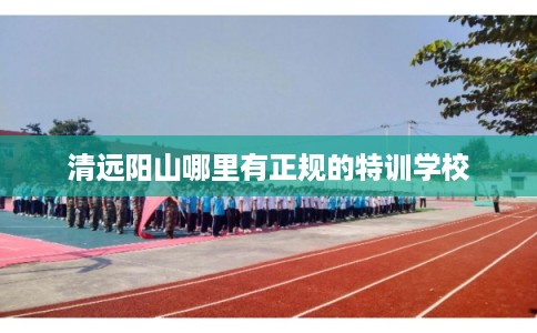 清远阳山哪里有正规的特训学校