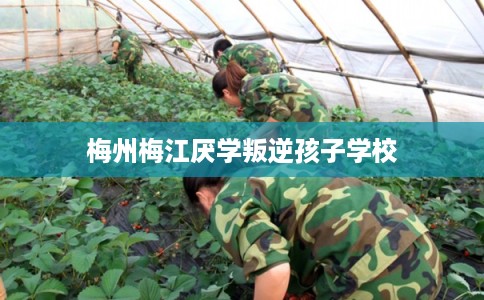 梅州梅江厌学叛逆孩子学校