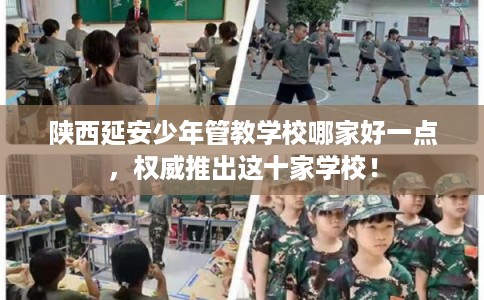 陕西延安少年管教学校哪家好一点，权威推出这十家学校！