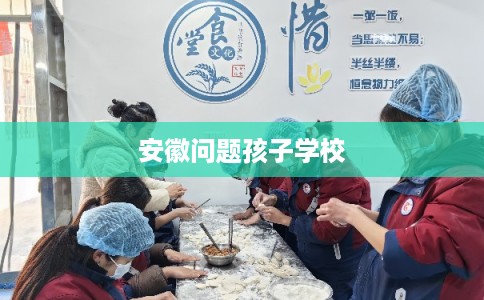 安徽问题孩子学校