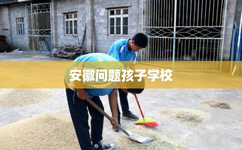 安徽问题孩子学校