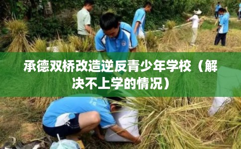 承德双桥改造逆反青少年学校(解决不上学的情况) 承德双桥改造逆反青少年学校(解决不上学的情况)