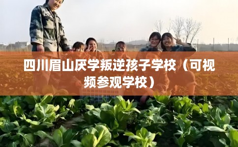 四川眉山厌学叛逆孩子学校（可视频参观学校）