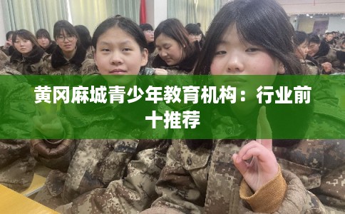 黄冈麻城青少年教育机构:行业前十推荐 黄冈麻城青少年教育机构:行业前十推荐
