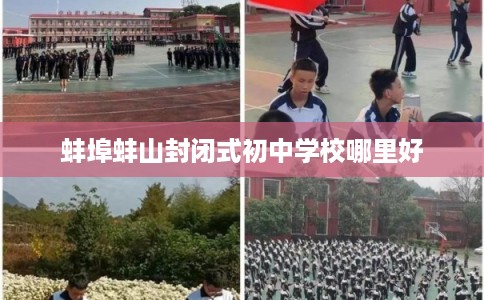 蚌埠蚌山封闭式初中学校哪里好
