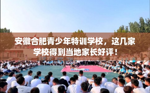 安徽合肥青少年特训学校，这几家学校得到当地家长好评！
