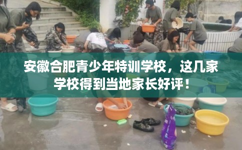 安徽合肥青少年特训学校，这几家学校得到当地家长好评！