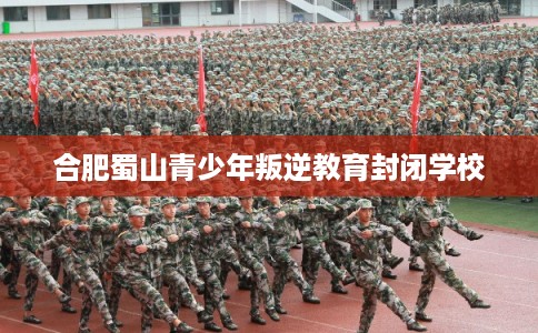 合肥蜀山青少年叛逆教育封闭学校