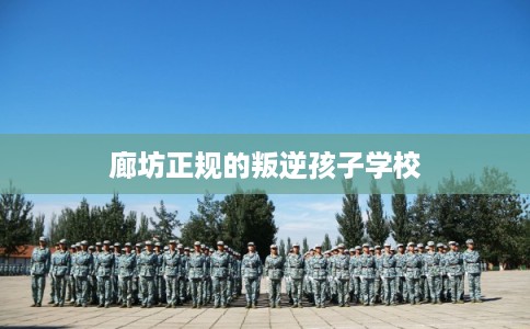 廊坊正规的叛逆孩子学校