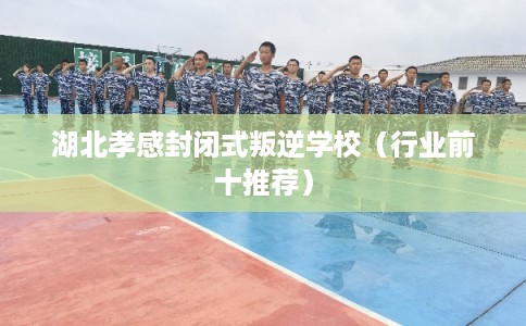 湖北孝感封闭式叛逆学校(行业前十推荐) 湖北孝感封闭式叛逆学校(行业前十推荐)