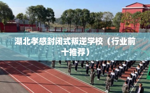 湖北孝感封闭式叛逆学校（行业前十推荐）