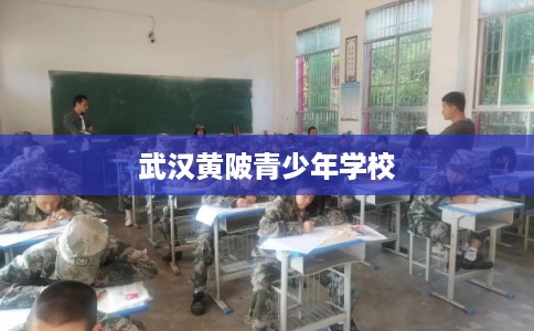 武汉黄陂青少年学校 武汉黄陂青少年学校