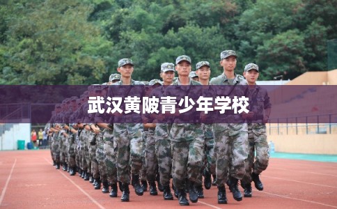 武汉黄陂青少年学校 武汉黄陂青少年学校