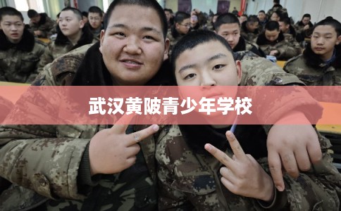 武汉黄陂青少年学校 武汉黄陂青少年学校