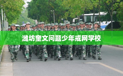 潍坊奎文问题少年戒网学校 潍坊奎文问题少年戒网学校