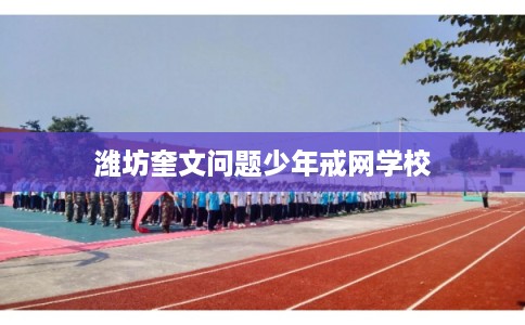潍坊奎文问题少年戒网学校 潍坊奎文问题少年戒网学校