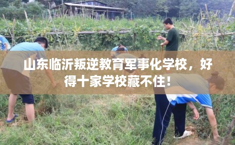 山东临沂叛逆教育军事化学校，好得十家学校藏不住！