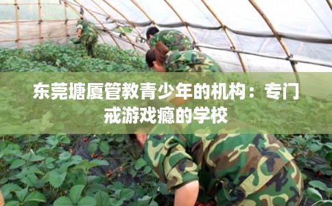 东莞塘厦管教青少年的机构：专门戒游戏瘾的学校