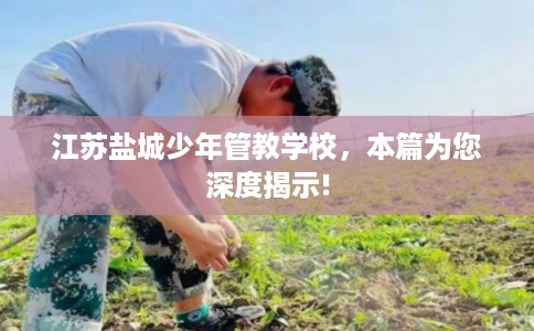 江苏盐城少年管教学校，本篇为您深度揭示!