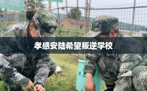 孝感安陆希望叛逆学校