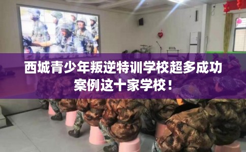西城青少年叛逆特训学校超多成功案例这十家学校！
