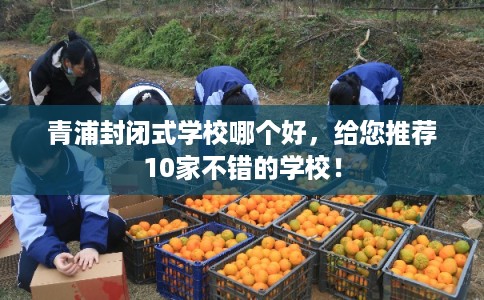 青浦封闭式学校哪个好，给您推荐10家不错的学校！