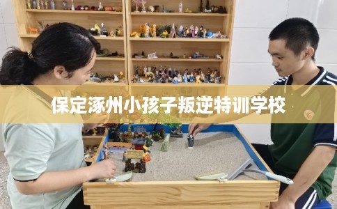 保定涿州小孩子叛逆特训学校