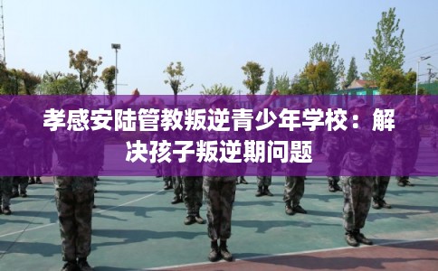 孝感安陆管教叛逆青少年学校：解决孩子叛逆期问题