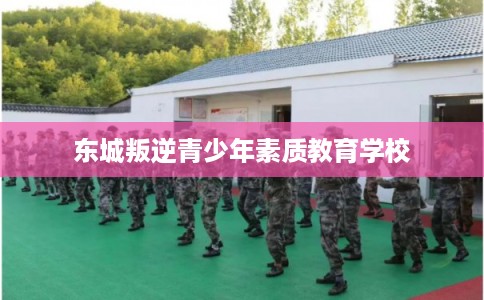 东城叛逆青少年素质教育学校
