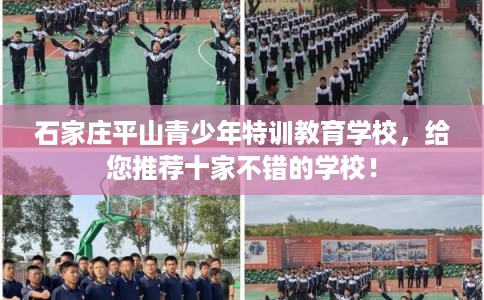 石家庄平山青少年特训教育学校，给您推荐十家不错的学校！