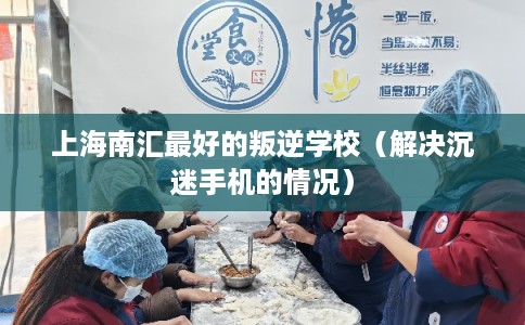 上海南汇最好的叛逆学校（解决沉迷手机的情况）