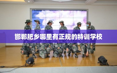 邯郸肥乡哪里有正规的特训学校