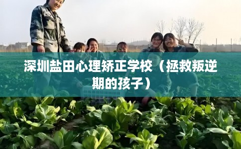 深圳盐田心理矫正学校(拯救叛逆期的孩子) 深圳盐田心理矫正学校(拯救叛逆期的孩子)