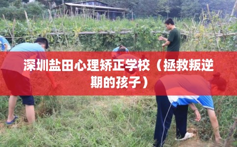 深圳盐田心理矫正学校（拯救叛逆期的孩子）