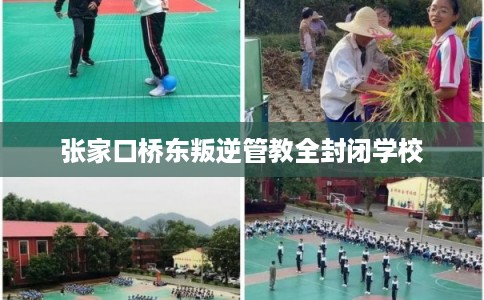 张家口桥东叛逆管教全封闭学校