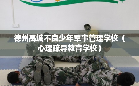 德州禹城不良少年军事管理学校(心理疏导教育学校) 德州禹城不良少年军事管理学校(心理疏导教育学校)