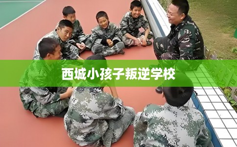 西城小孩子叛逆学校