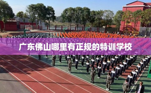 广东佛山哪里有正规的特训学校 广东佛山哪里有正规的特训学校
