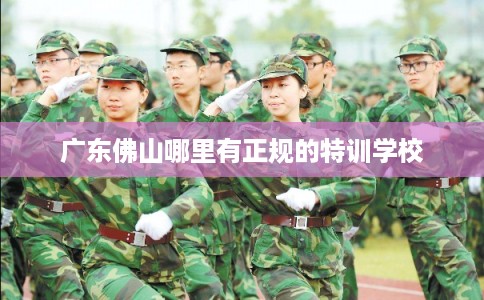 广东佛山哪里有正规的特训学校 广东佛山哪里有正规的特训学校