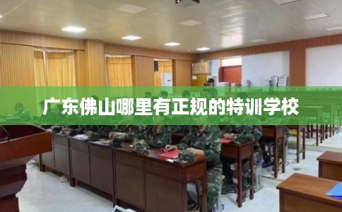 广东佛山哪里有正规的特训学校 广东佛山哪里有正规的特训学校