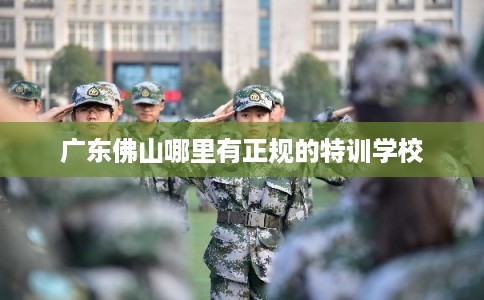 广东佛山哪里有正规的特训学校