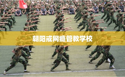 朝阳戒网瘾管教学校