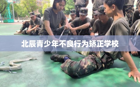 北辰青少年不良行为矫正学校 北辰青少年不良行为矫正学校